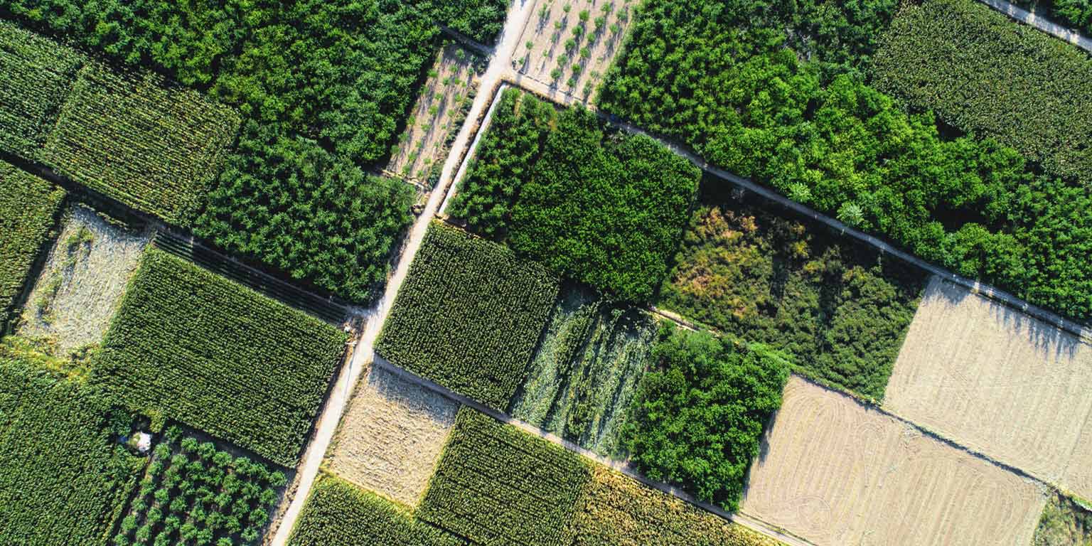 Organization Agriculture McKinsey & Company